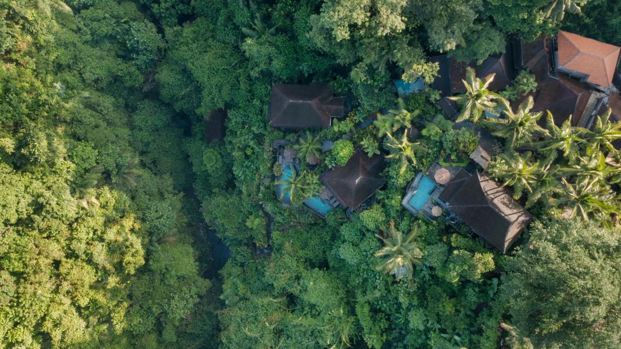 Bidadari Private Villas & Retreat Ubud  Luaran gambar